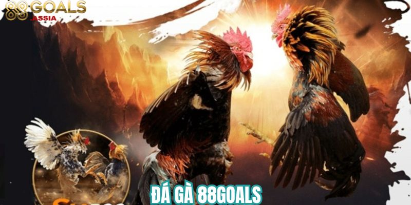 Đá gà 88Goals 1 da ga 88Goals